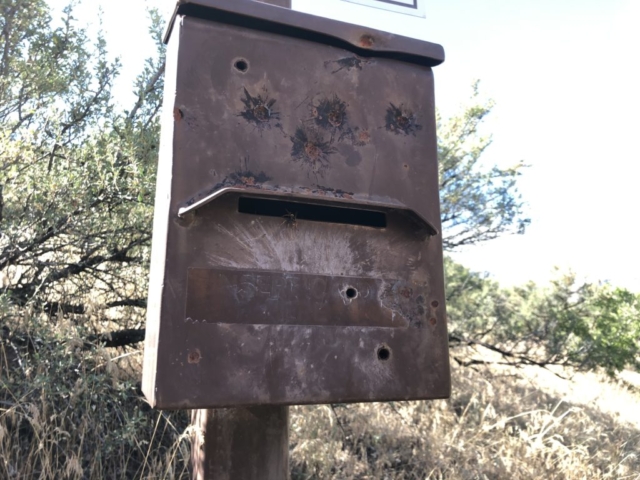 Bees nest on the trail