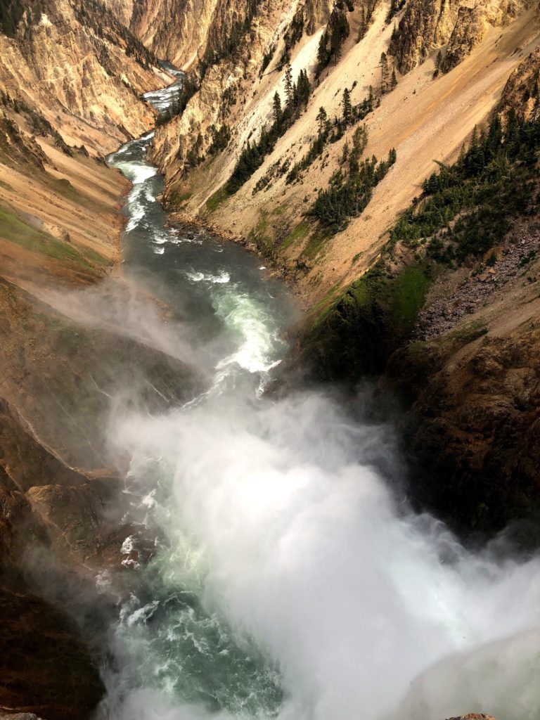 Grand Canyon of the Yellowstone National Park raging river