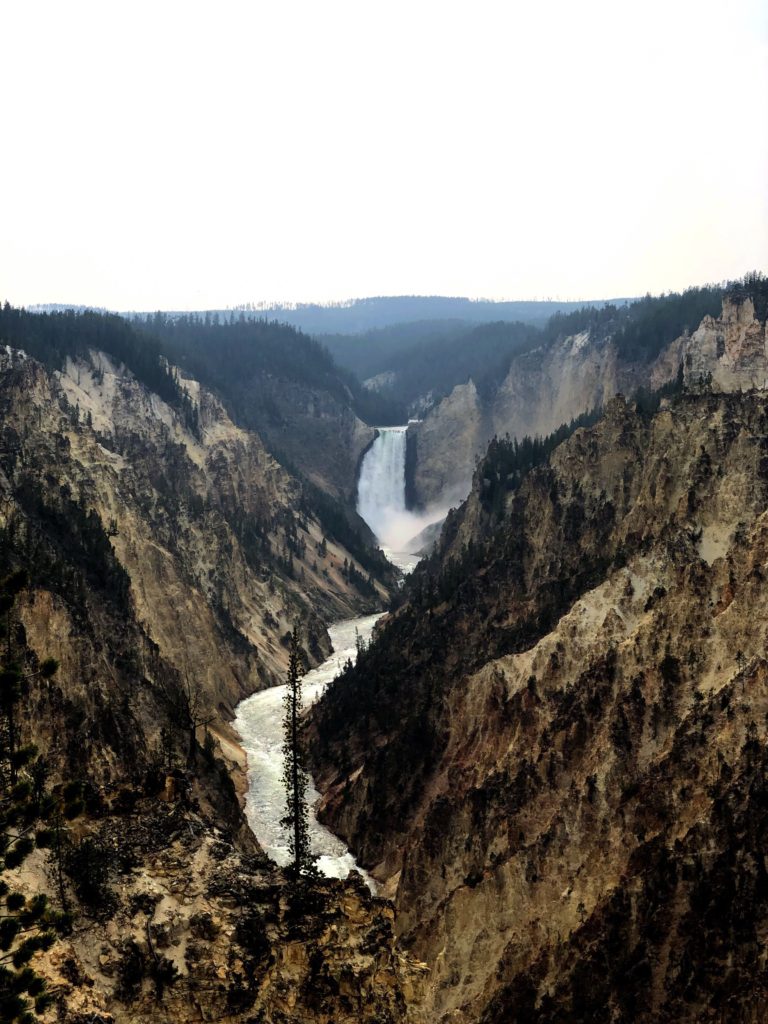 Grand Canyon of the Yellowstone river pic