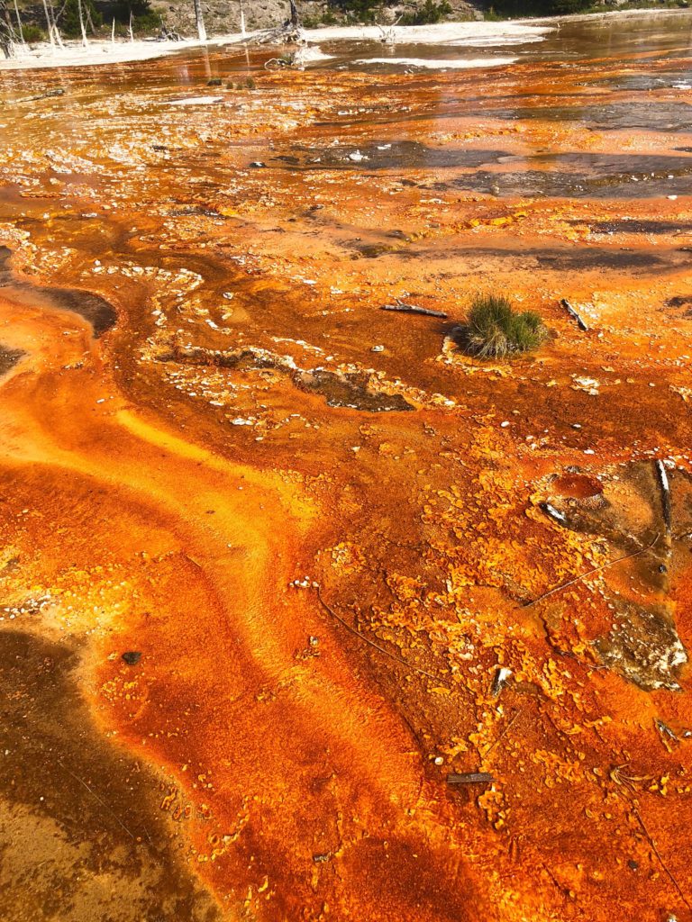 Steamboat Geyser rust pool Yellowstone National Park