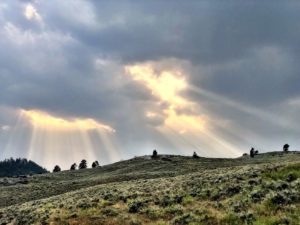 Sun streaks yellowstone national park