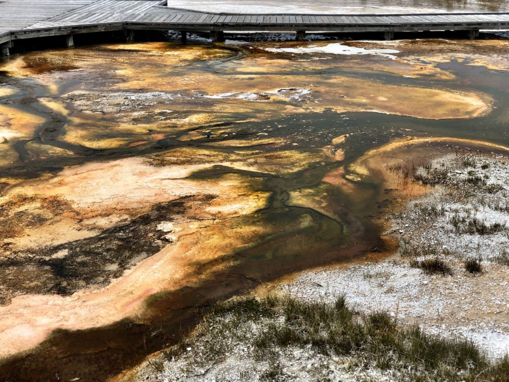 Yellowstone NP pools