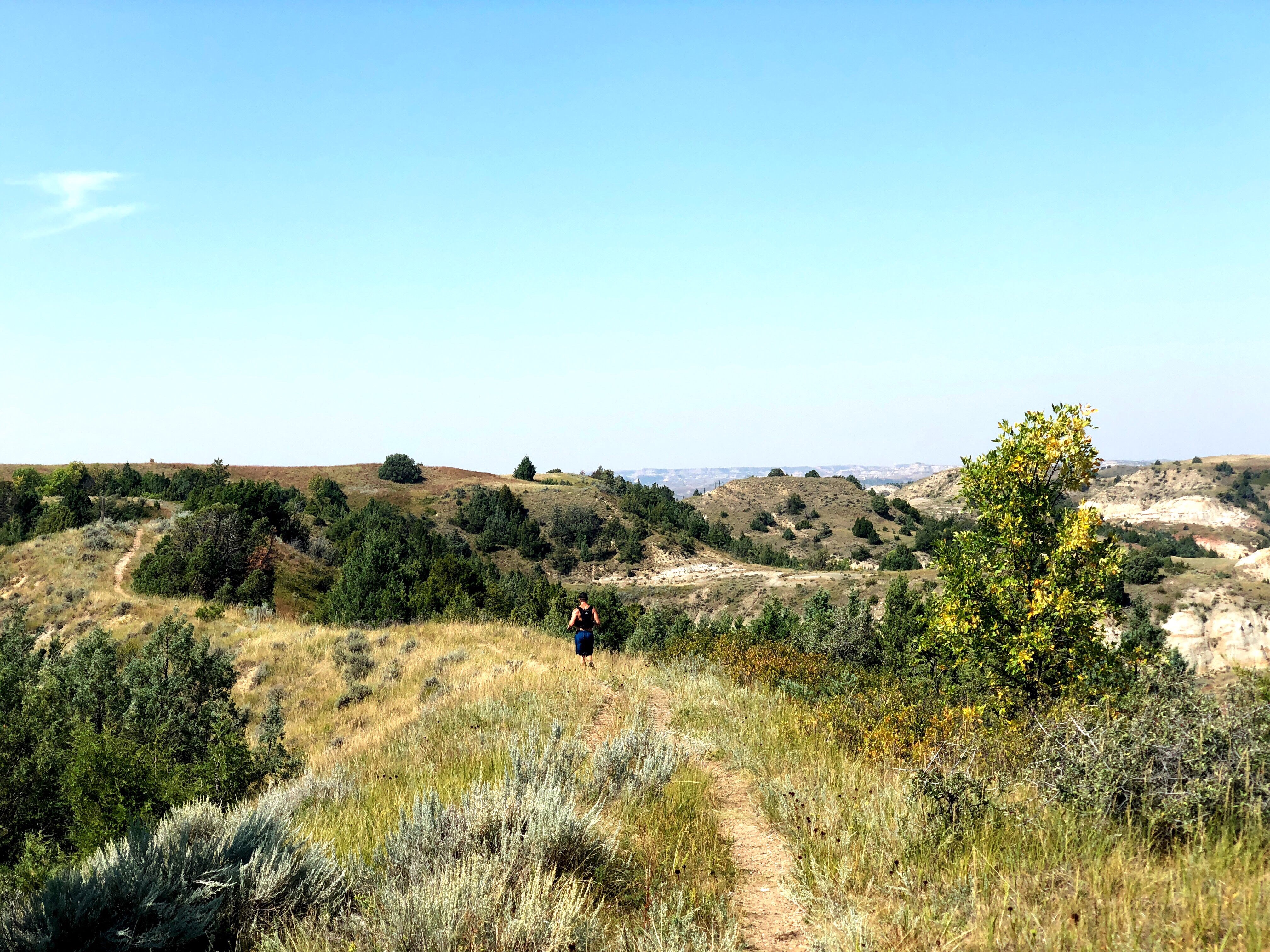 Joe running through Theodore Roosevelt National Park in the petrified forest loop