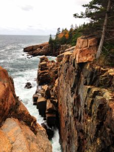 Ocean from Acadia parks scenic trail