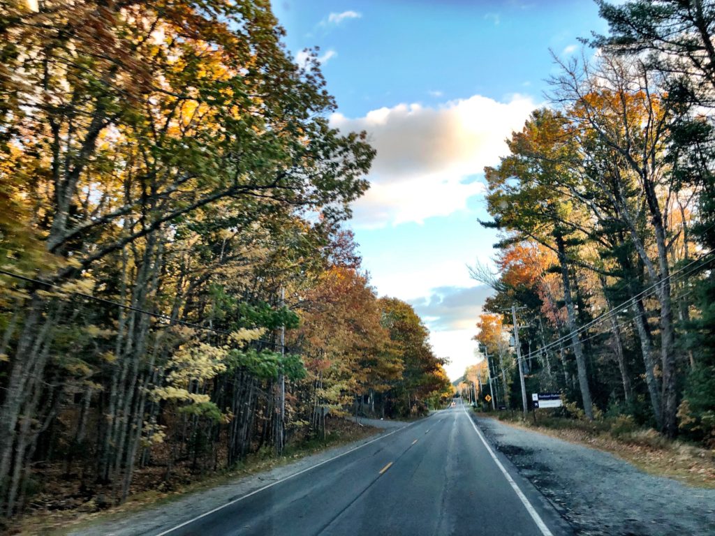 Driving down the road and Fall Colors in Maine