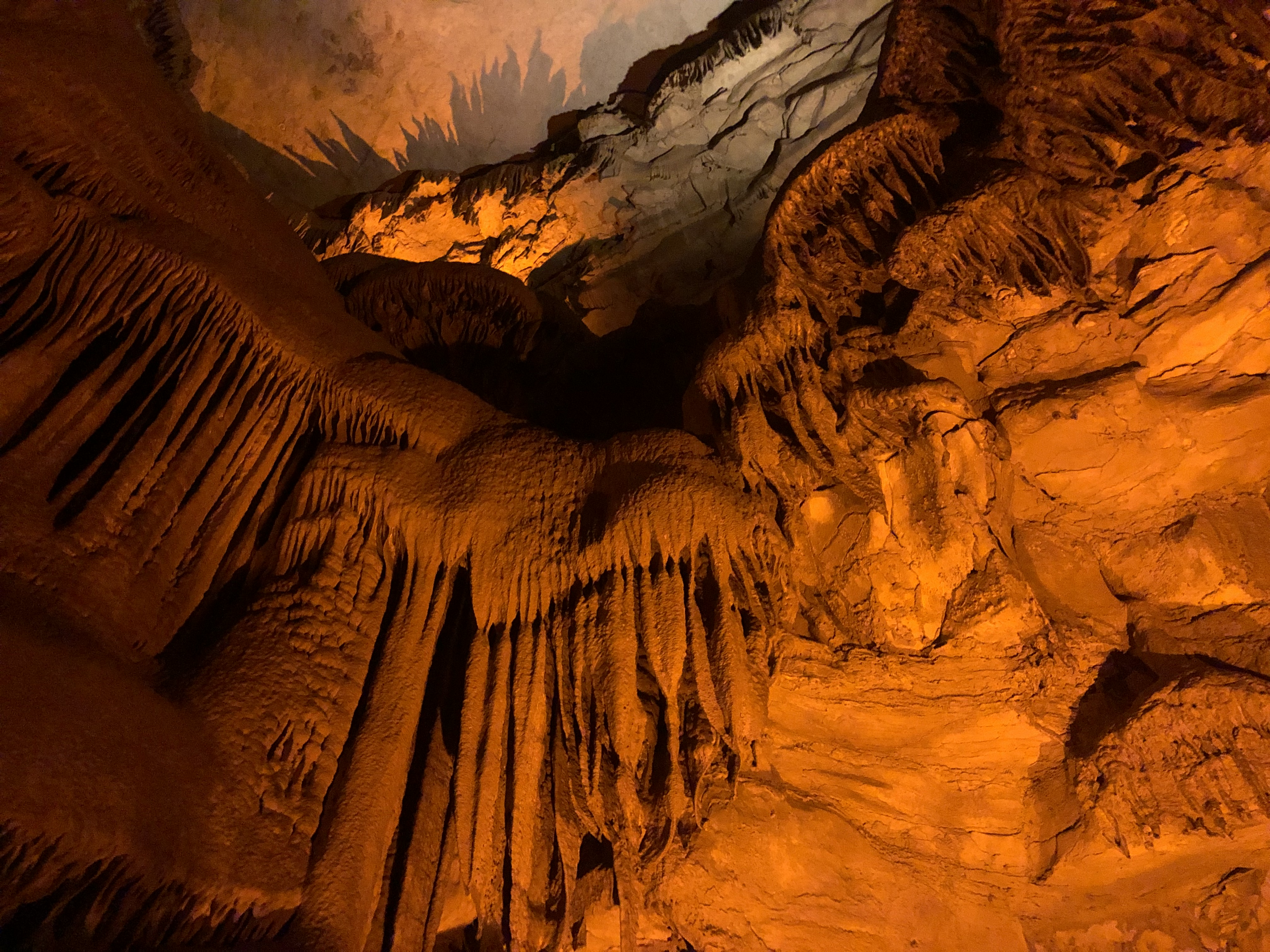 Mammoth Caves crazy dripping rocks. It looks like Disneyland.