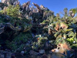 Avatar ride at Disney World after a long wait