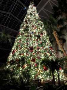 Christmas Tree at Gaylord Hotel Nashville with massive lights