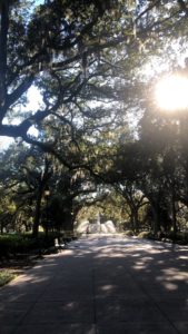 Great Savannah walking Park
