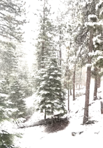 Snow in Lake Tahoe