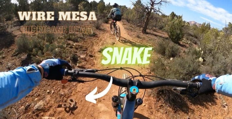 MTB - Mountain Biking Wire Rim Trail in Hurricane Utah riding when we saw a rattle snake
