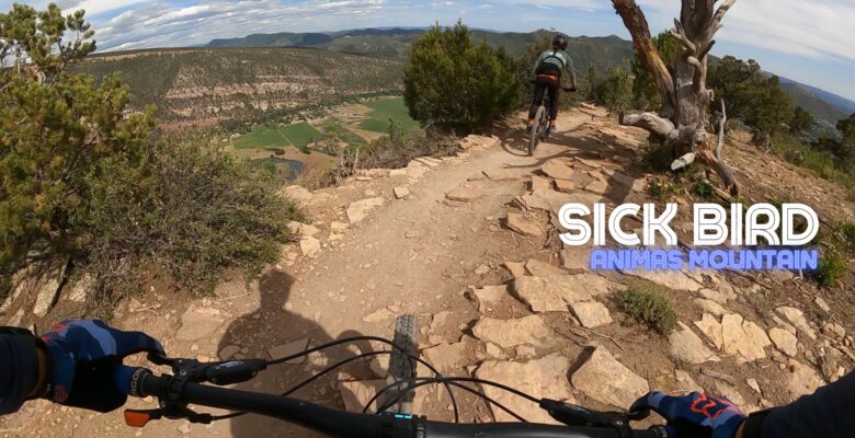 Mountain biking the Sick Bird trail in Durango Colorado
