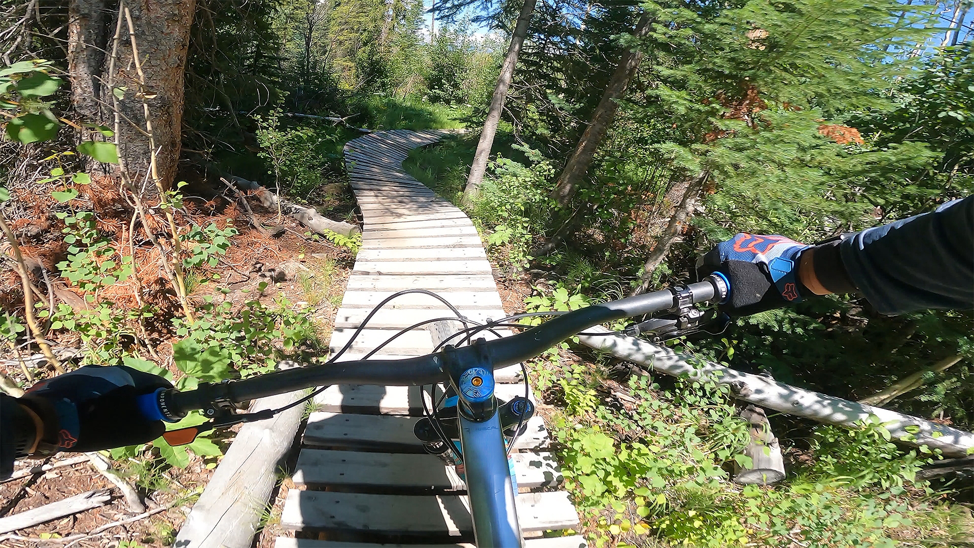 Fun mountain bike trails near 2024 me