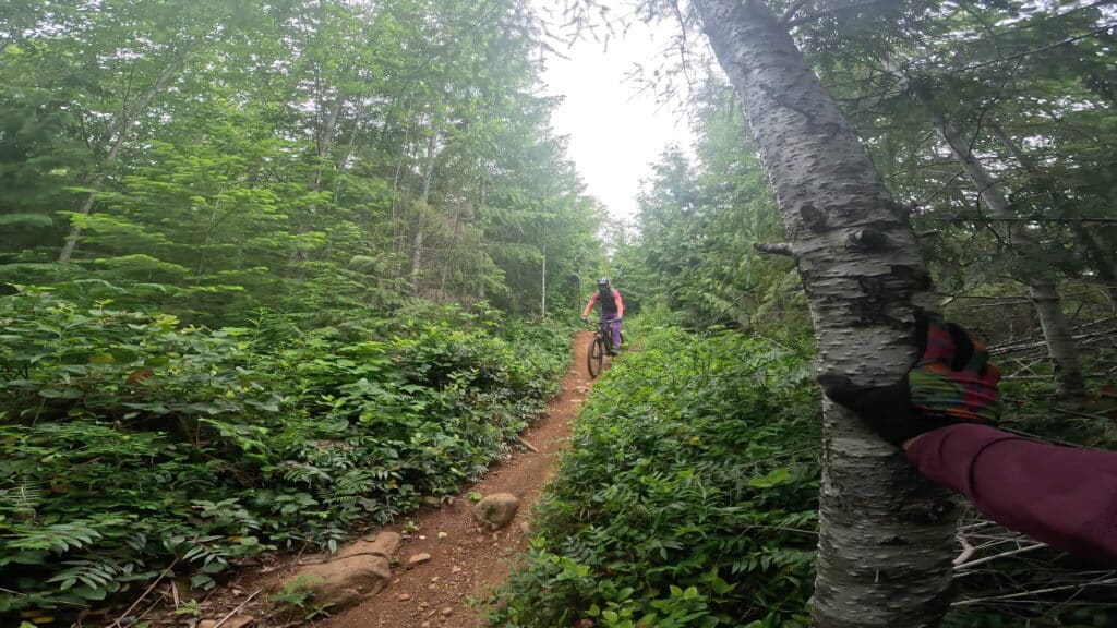 Forbidden Druid v2 on Cumberland trails