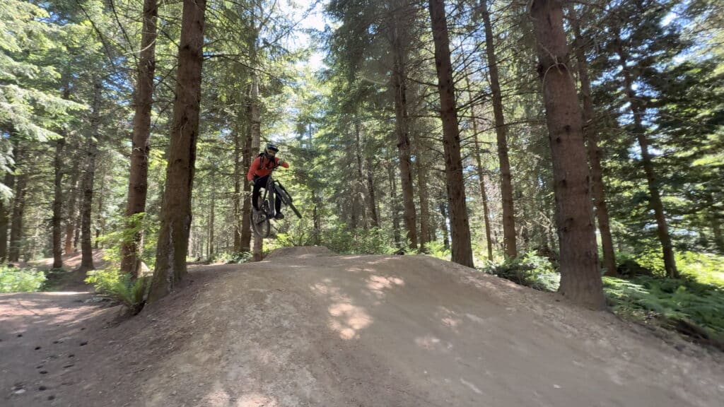 Transition Regulator SX Review