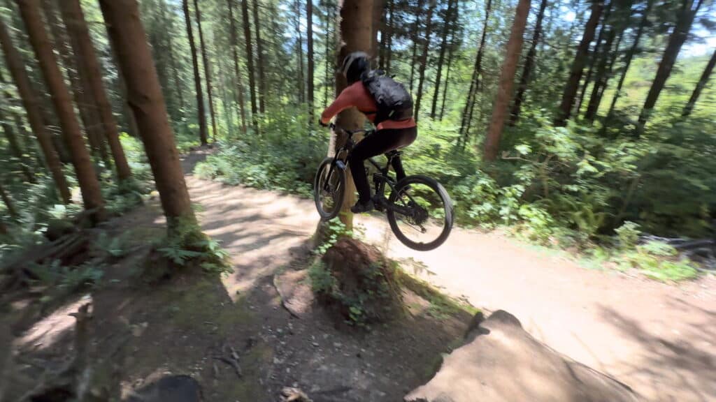 Transition Regulator SX Review