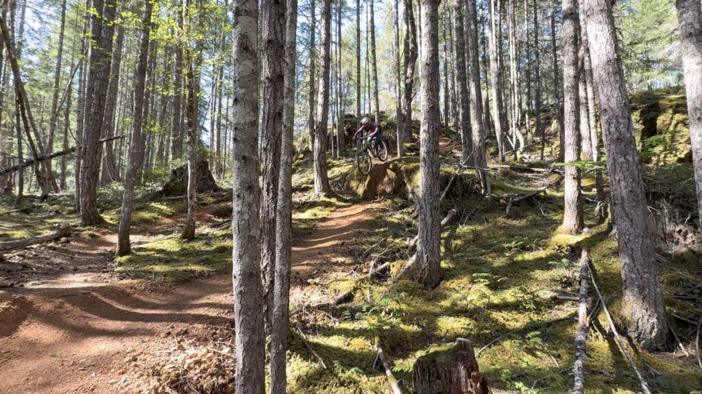 Norco Sight VLT TQ on Forbidden Plateau